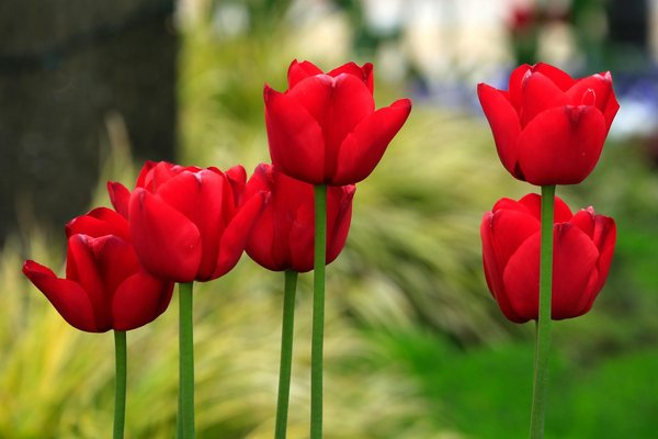 Les tendances en matière d'éclairage de jardin pour 2022