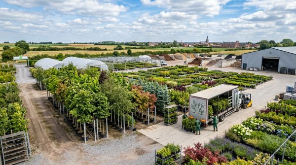 Choisir un grossiste en paysagiste à Douai pour vos jardins
